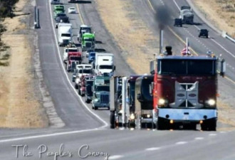 美国的卡车车队 Freedom Convoy