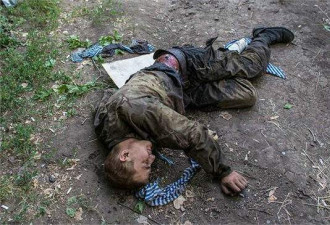 乌呼吁红十字会协助运回战死俄士兵