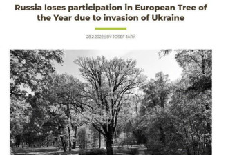 猫被制裁之后，俄罗斯的树也被制裁了