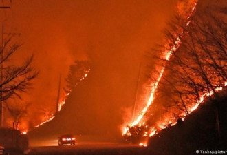 韩国东部多地发森林火灾 约2万个足球场