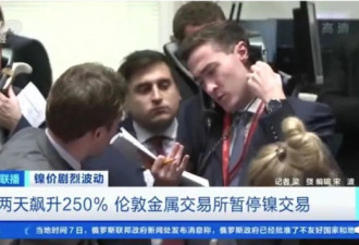 伦交所史无前例“拔网线”！“妖镍”逼空风暴