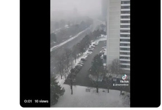 天气乱了！多伦多连下三天雪 下周飙15℃