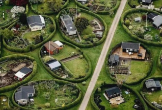 丹麦小城用圆形花园来划分独门独户