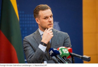 立陶宛：我们在对俄制裁方面没有红线