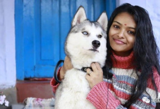 印度女孩带哈士奇逃离乌克兰 步行20公里过边境