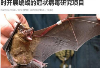 被普京捅刀 俄指中国拿美蝙蝠病毒研究费
