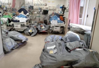 香港：超3500死 病房人尸共处照疯传
