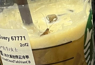 "咖啡喝出活蟑螂"登热搜 星巴克:从第三方下单