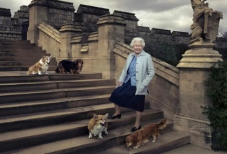 女王不再出门遛狗 英国人的心都悬了
