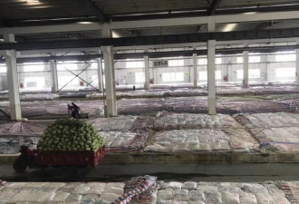 实探老坛酸菜厂:土坑绝迹 1个发酵池造价8万
