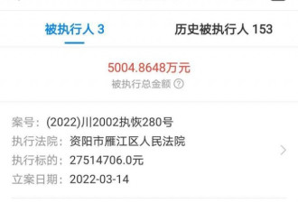 周震南母亲公司被恢复执行2751万余元
