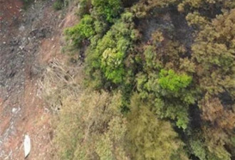 东航客机坠毁地有种植园 工人们因午休躲过一劫