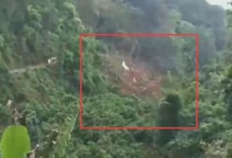 东航客机坠毁地有种植园 工人们因午休躲过一劫