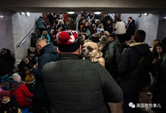 乌克兰夫妇带50只斗牛犬逃亡,两次穿越战区！