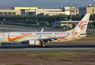 东航坠机：五个消息待确认 十个消息已确定
