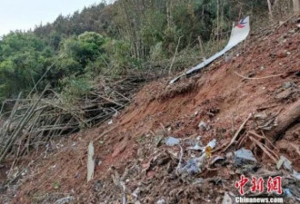 她手机里有1392句“我落地了”