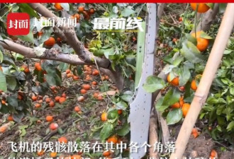 MU5735搜救现场找哪些物品?法语书让网友破防