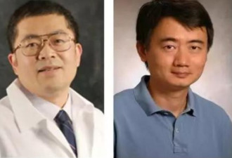 移植皮肤治毒瘾 芝大2华裔教授基因改造大突破