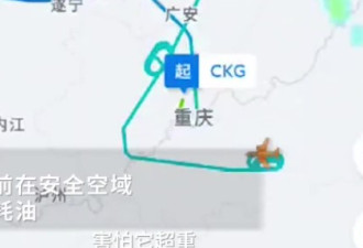 川航空客A330飞机空中故障 盘旋8小时耗油降落