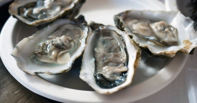 CFIA recalls Pacific Rim Shellfish brand oysters due to norovirus risk | Globalnews.ca