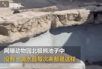 北京动物园怕北极熊着凉 把水抽干了