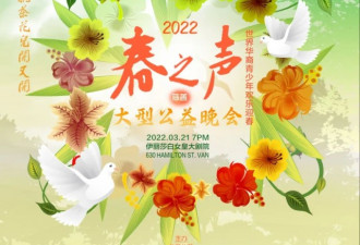 2022世界华裔青少年欢乐迎春公益晚会