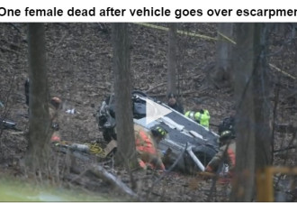 汉密尔顿汽车掉下悬崖一名女子死亡