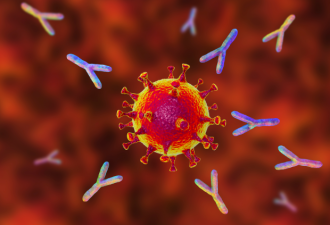 研究：感染普通冠状病毒不会产生有效新冠抗体