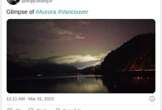 昨晚加拿大的北极光刷屏了，温哥华竟是粉色的