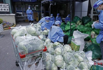 上海市民明天将迎买菜难 如何解决？