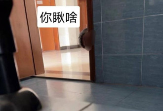南京高校男教师偷窥女厕所 校方调查