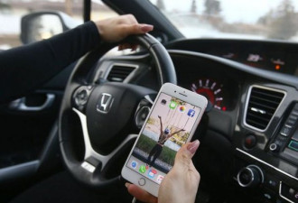 怪不得安省汽车保险贵 85%司机在开车玩手机
