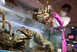 俄罗斯螃蟹跌到半价 吃还是不吃？