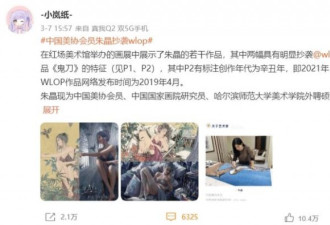中国美协会员8万一幅画被指抄袭