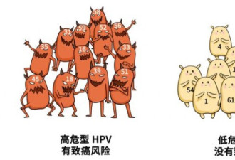 健康微讲堂 HPV你到底了解了多少？