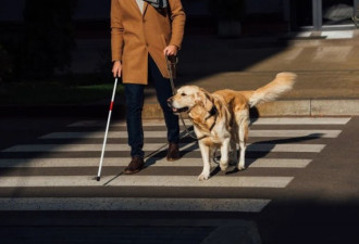 困在上海疫情中的残障人士：盲人无法参与抢菜
