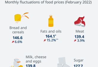 全球食品价格上涨 欧盟面临粮食短缺？