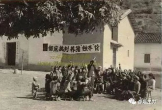 人民日报女记者忆1960年夏天饥饿的北京