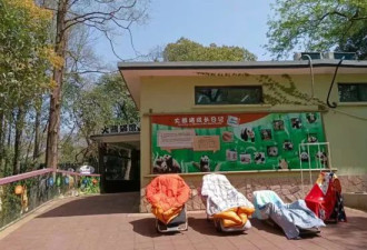 上海动物园300人和5000只动物的封闭生活