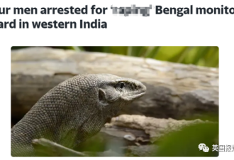 印度4男子集体性侵蜥蜴，网友震惊