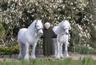 英女王96岁生日当天 拍了这张合影