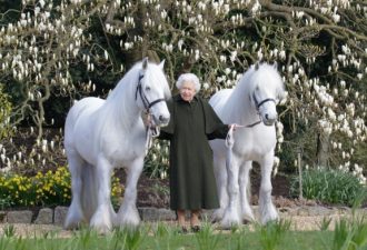 英国女王96岁大寿 喜牵心爱的白马合照