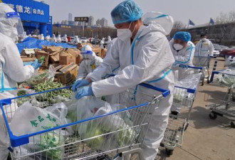 上海闵行采购20万斤蔬菜 兰陵：钱不要