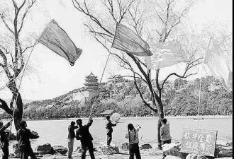 1958年灭杀大行动 中国麻雀的浩劫