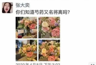阿里前太子蒋凡和网红张大奕已经结婚了？