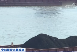 禁运俄罗斯煤炭 多国开启全球抢煤模式