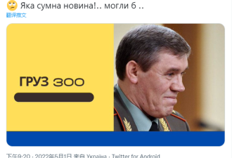 乌前内政部长称俄总参谋长被击中