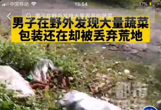 上海郊外发现大批蔬菜被丢弃 相关部门立案
