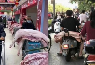真怕饿：郑州封城后，民众直接买走一头猪