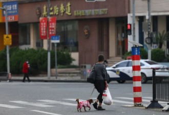 上海电话亭女人和狗：找到了 是个体面人
